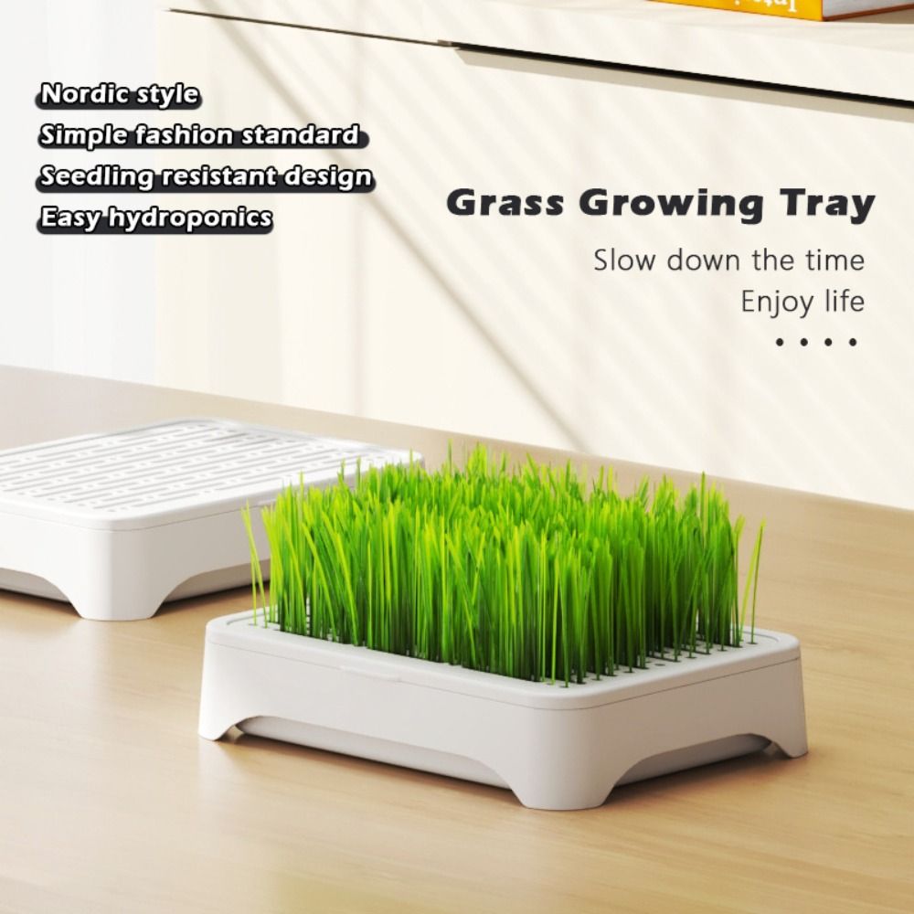 Grass Seed Spreader - Bandeja de Sementes Hidropônicas de Plástico,
