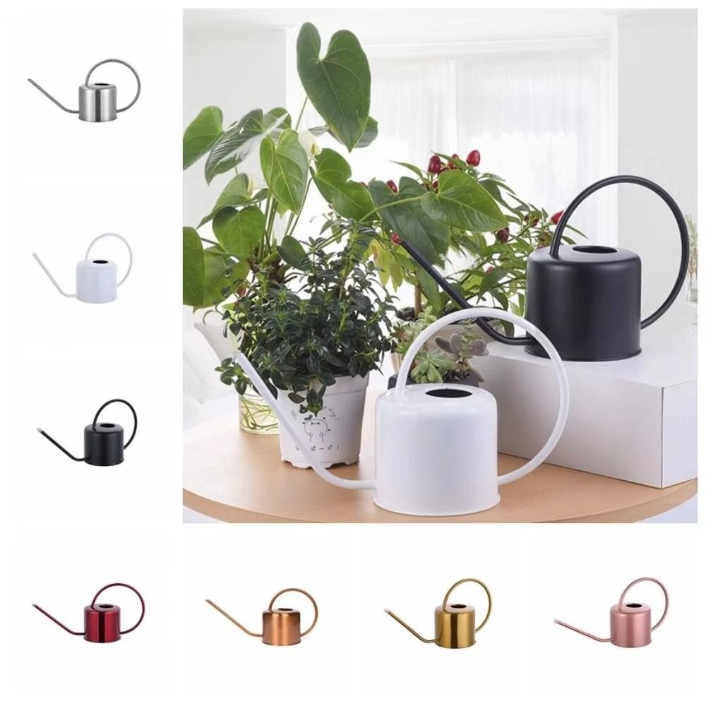Watering Can Long Spout - Regador de Plantas de 1.3L em
