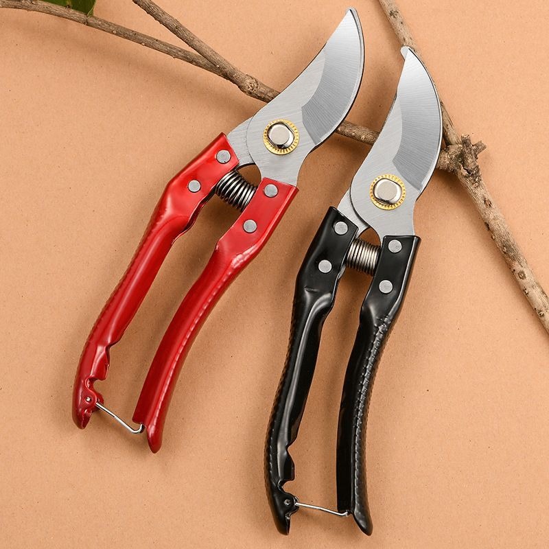 Gardening Tools To Cut Branches - 1 Tesoura de Poda Hortícola de