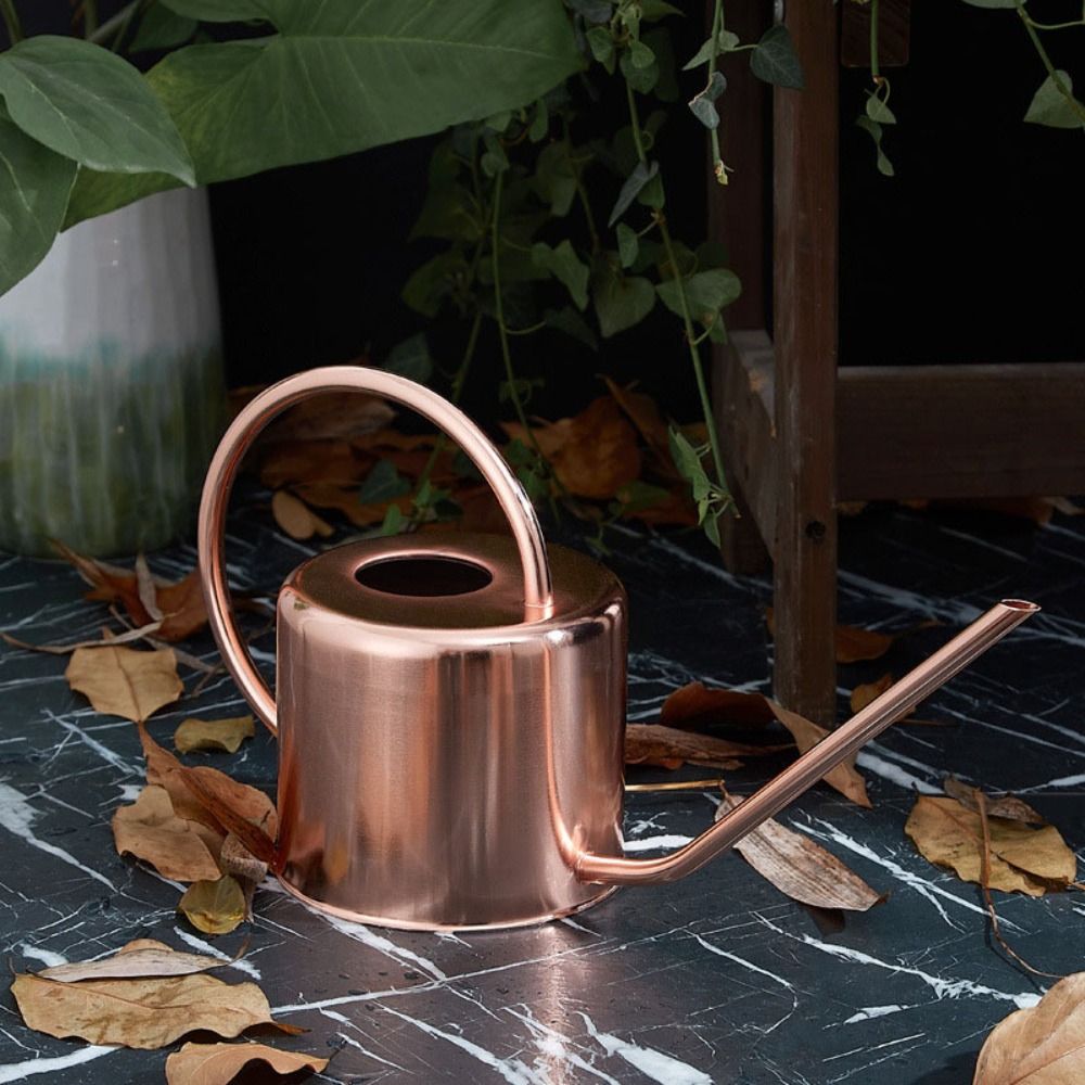Regador de Plantas de 1.3L em  - Watering Can Long Spout avaliação e preço