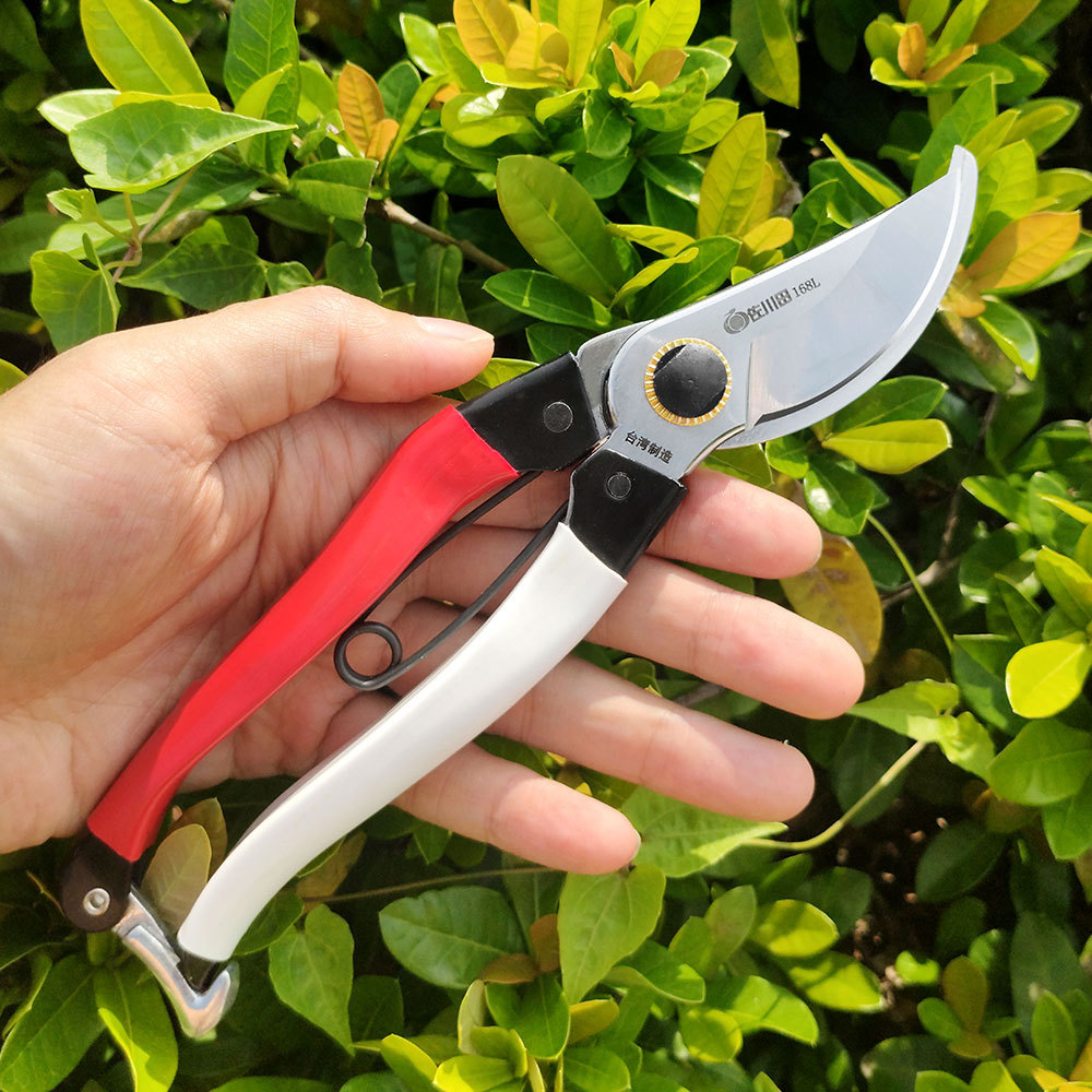 Sakawada-Japão Aço Tesoura De  - Gardening Tools Japan avaliação e preço