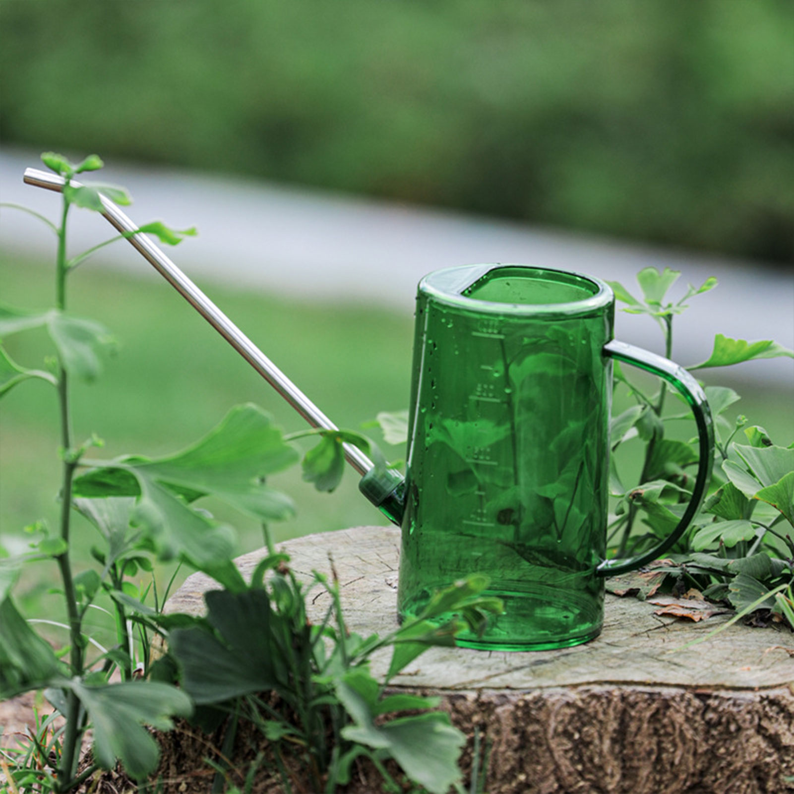 Regador Transparente de 1L/1.5 - Watering Can Long Spout avaliação e preço