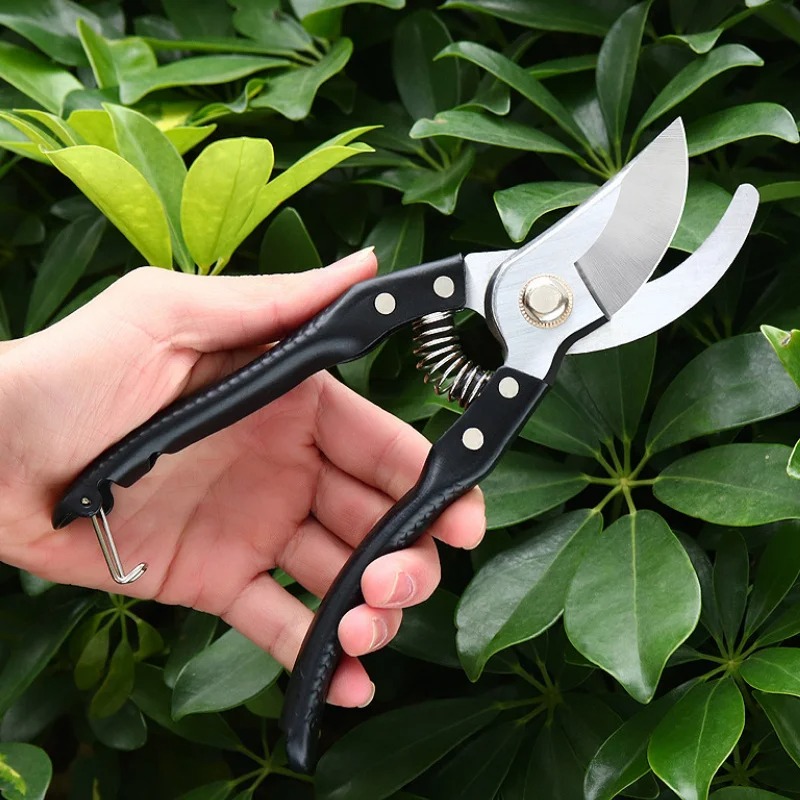 1 Tesoura de Poda Hortícola de - Gardening Tools To Cut Branches avaliação e preço