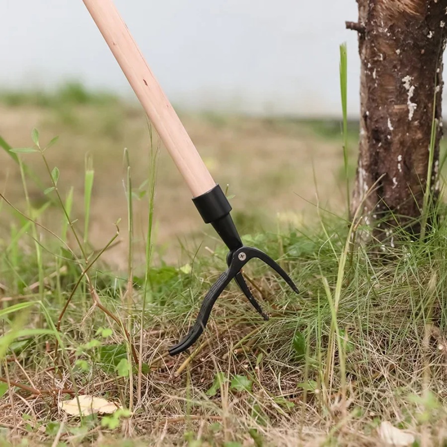 Ferramenta Portátil para Remoç - Grass Seed Spreader avaliação e preço