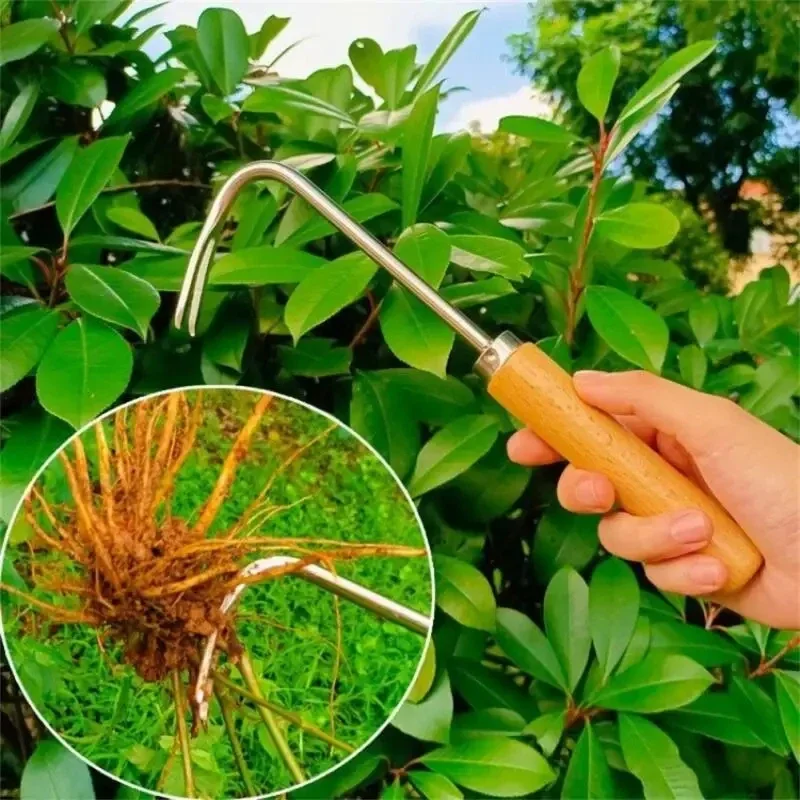 Aço inoxidável jardinagem capi - Grass Seed Spreader avaliação e preço