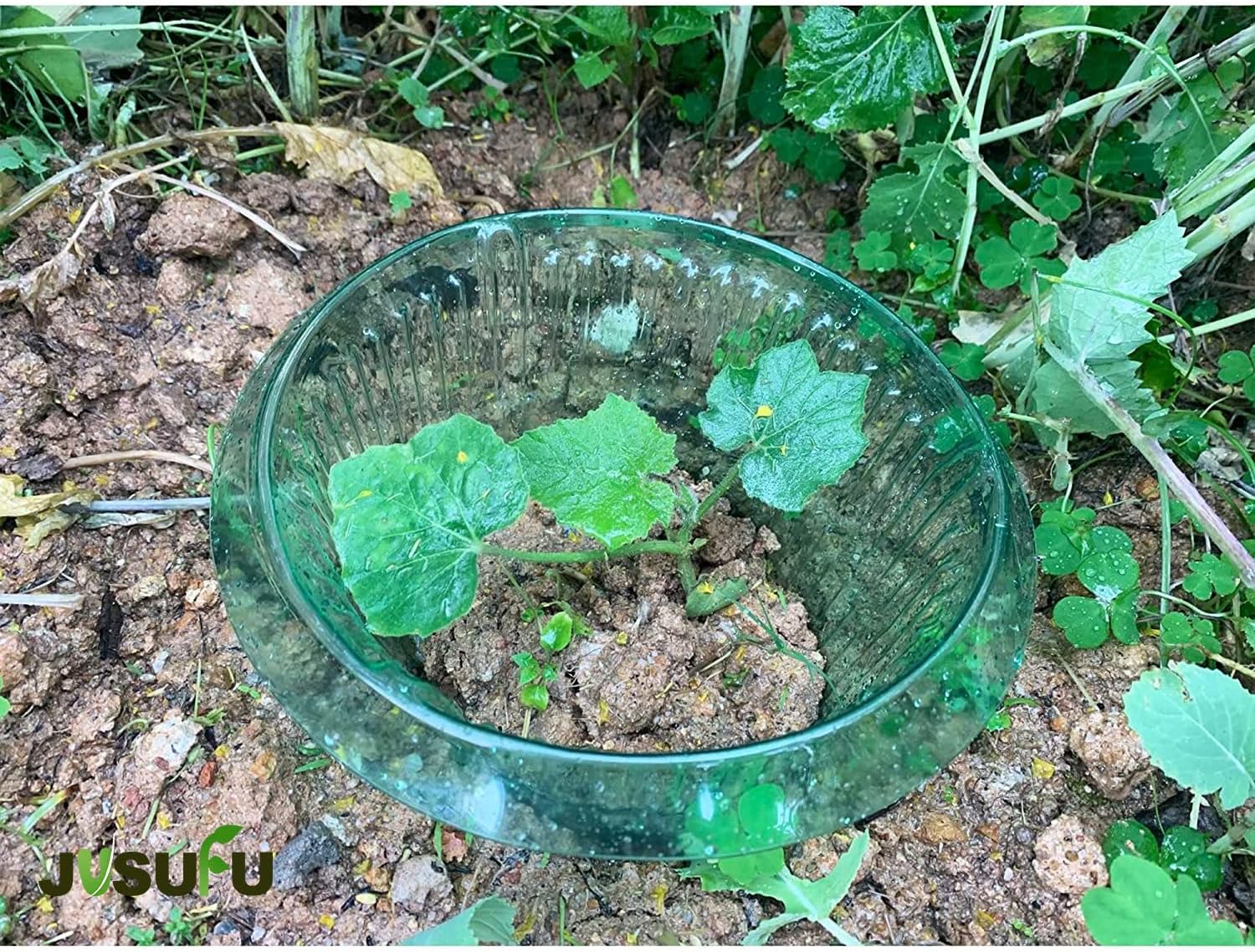 1/30 peças Anéis de Proteção p - Gardening Tools Green avaliação e preço