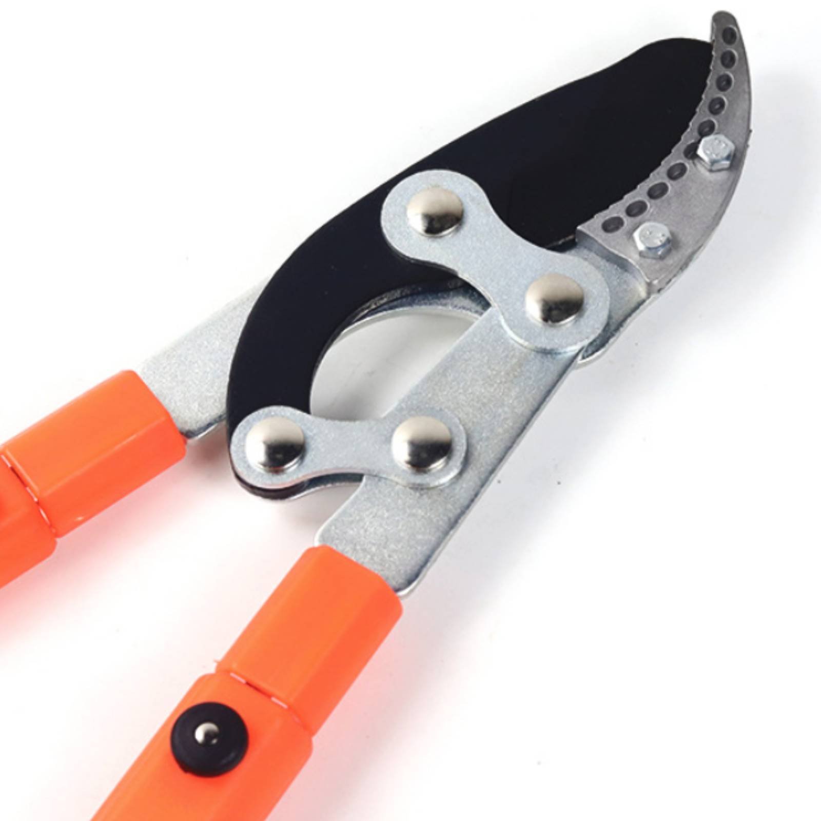 Podadores de Galhos Telescópic - Gardening Tools Of avaliação e preço