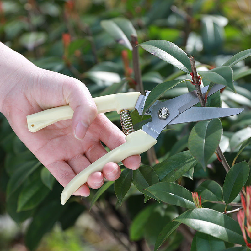 1 Unidade Tesoura de Poda de A - Gardening Tools To Cut Branches avaliação e preço