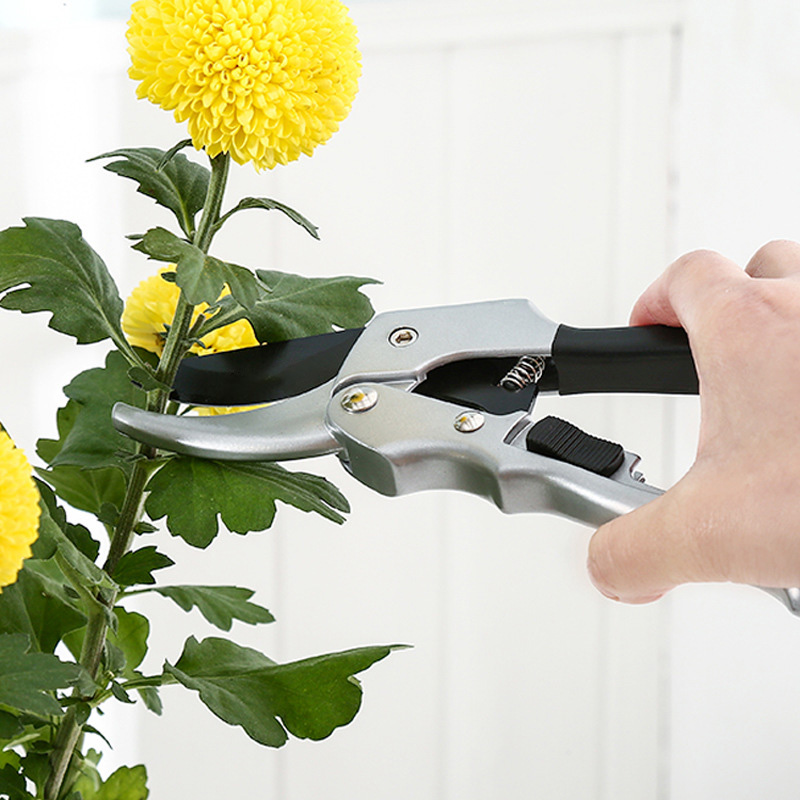 Novo 20cm catraca planta guarn - Gardening Tools To Cut Branches avaliação e preço