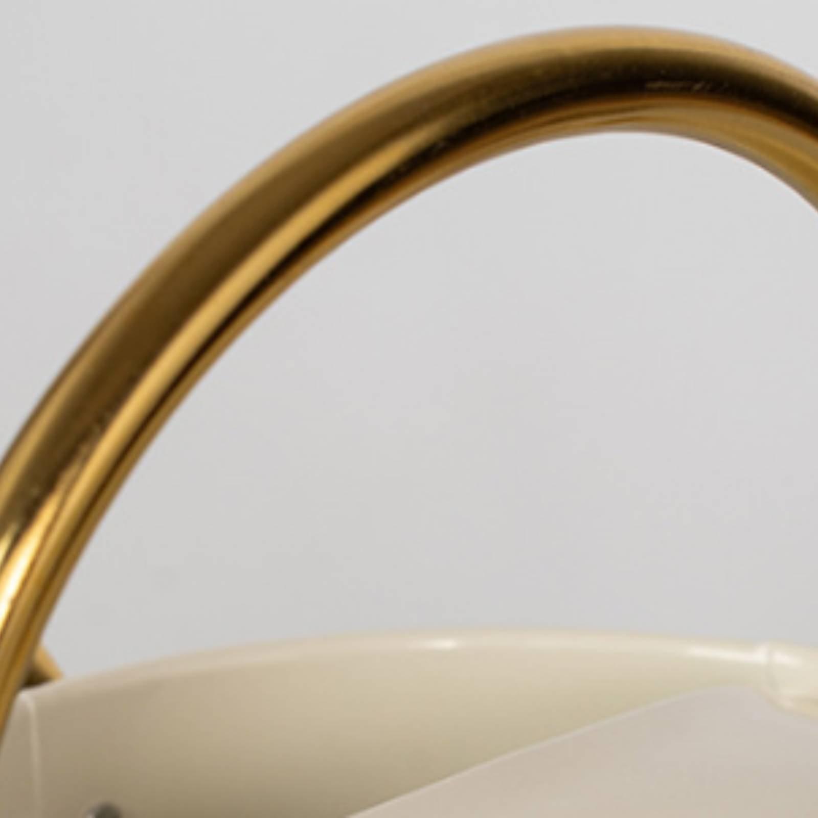 Regador de metal à prova de va - Watering Can Long Spout avaliação e preço