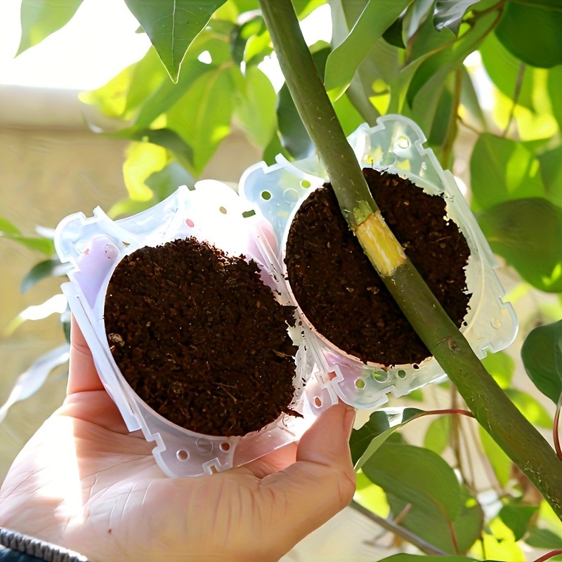 Kit de 10 Peças para Propagaçã - Gardening Tools To Cut Branches avaliação e preço