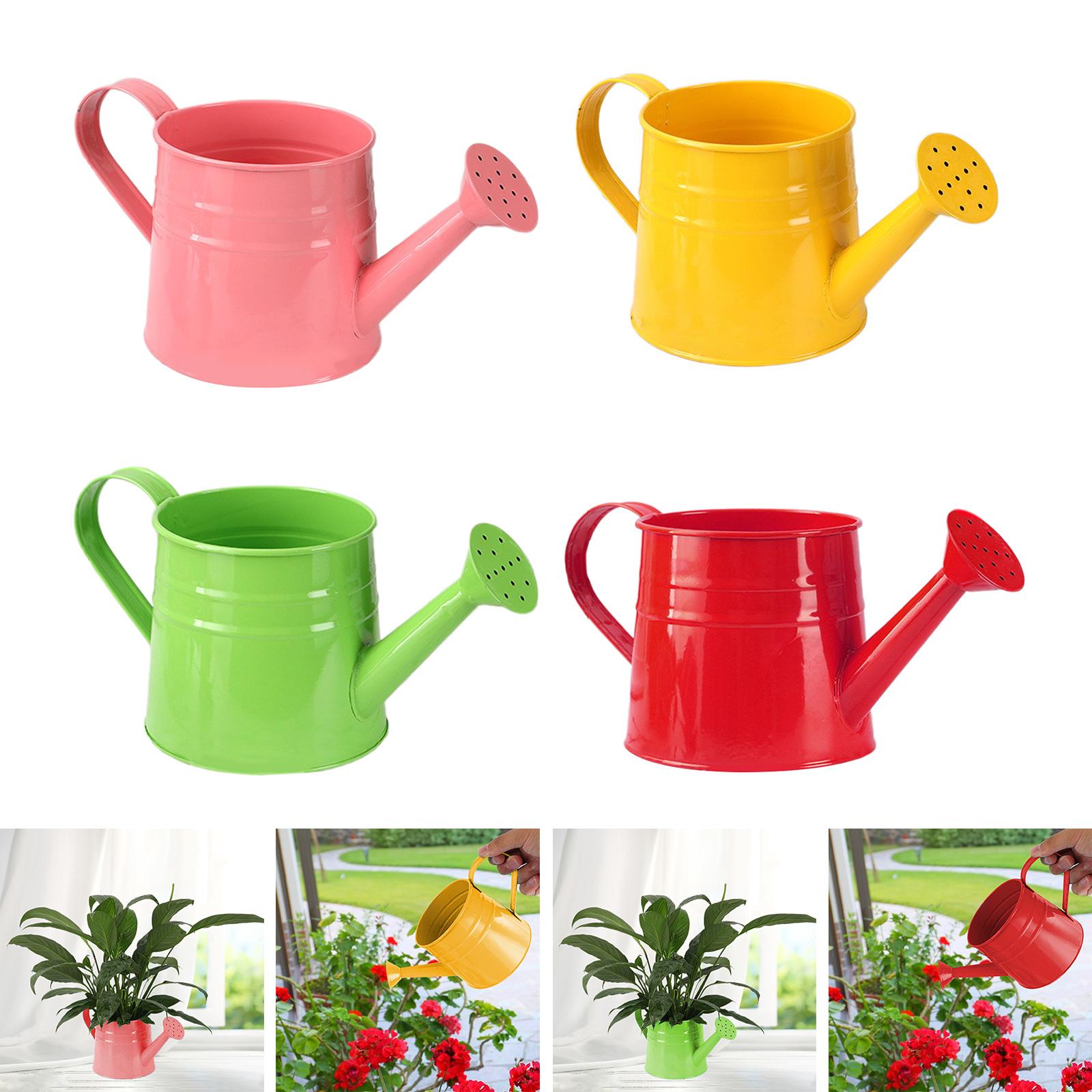 Regador, Suporte para Ferramen - Gardening Tools Vintage avaliação e preço